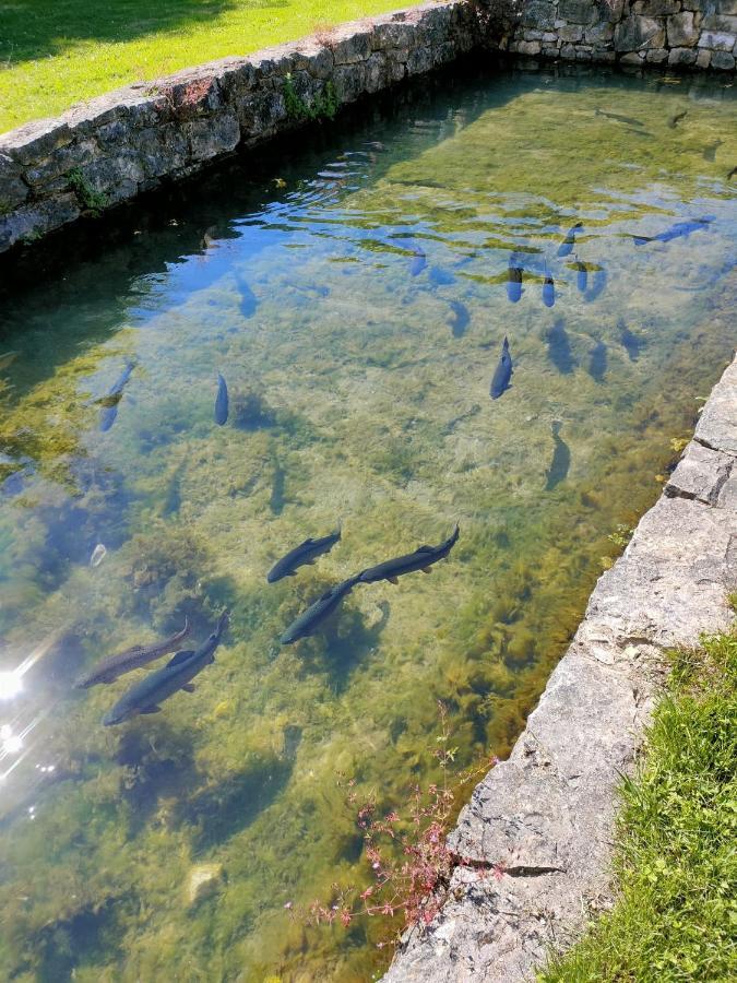 Les Pieds Dans L'Eau, Gite La Source Lachapelle-Auzac ภายนอก รูปภาพ